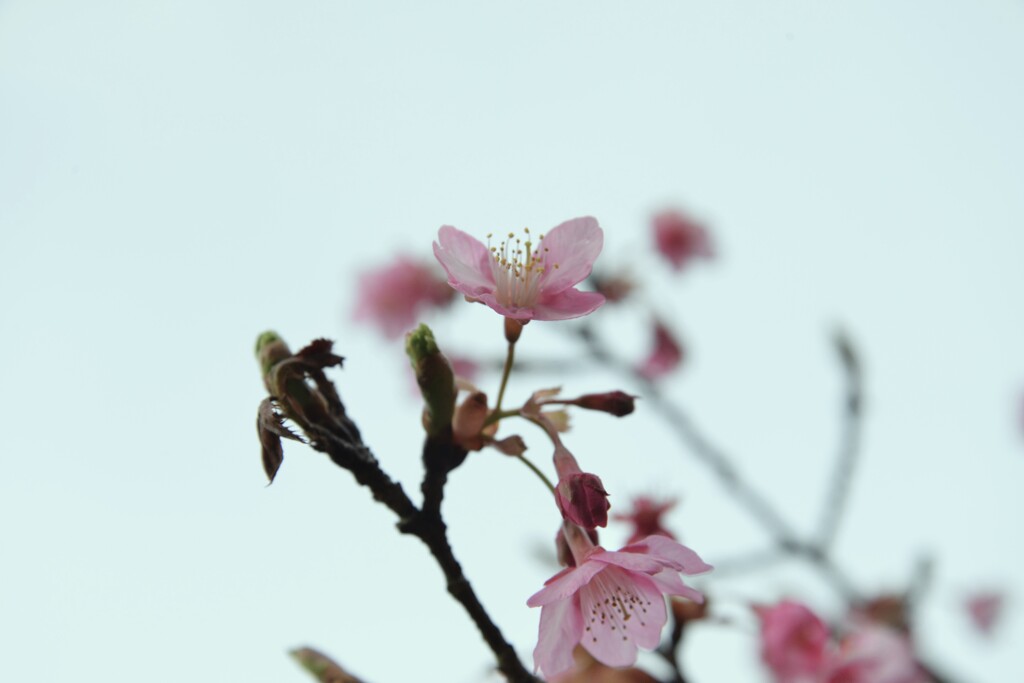冷たい雨上がり　➂。。。！