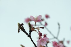 冷たい雨上がり　➂。。。！
