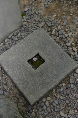 ひとひらの華。。。! ひとひらの華。。。!