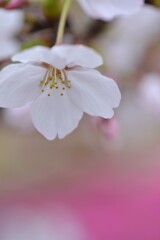 小さな公園　①。。。！