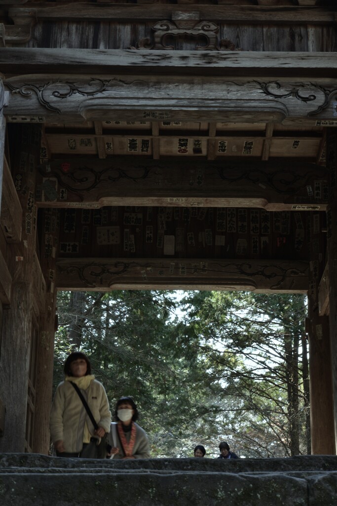 春日和の竹林寺　➁。。。！