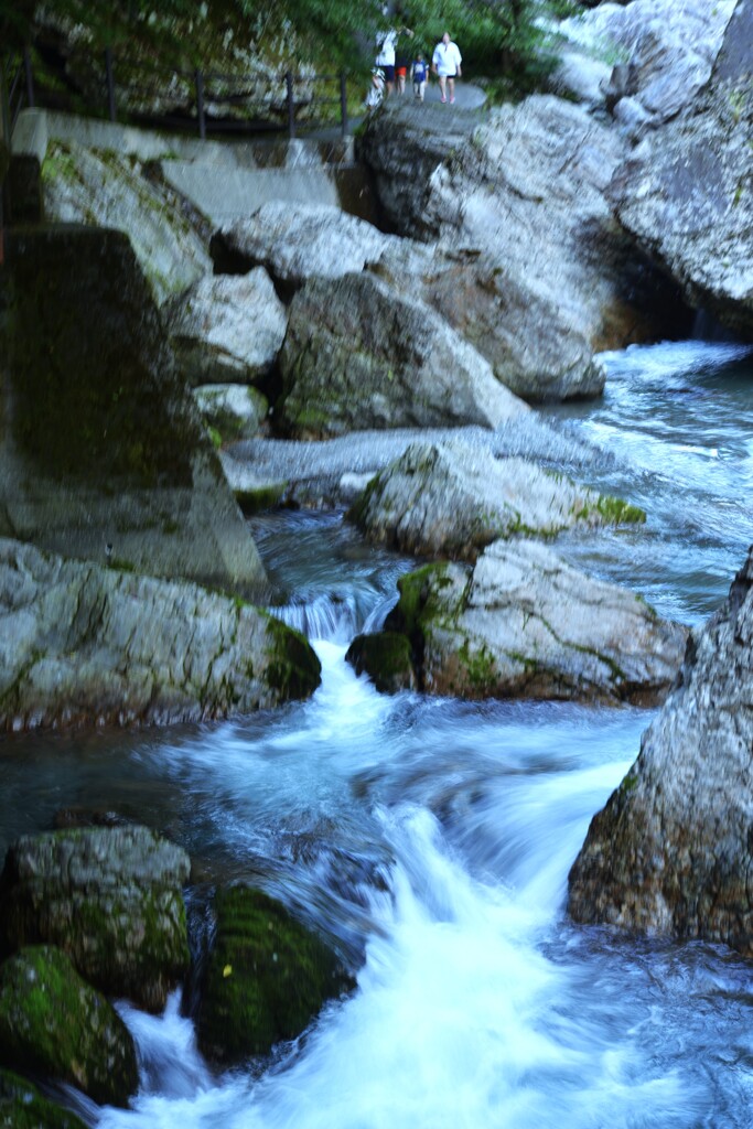 涼を求めて。。。！