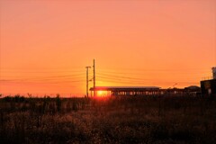 オレンジ電車走る駅。。。！