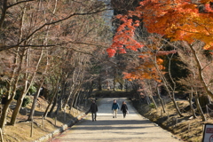 残秋の寺　⑤。。。！