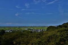 実りの秋。。。！