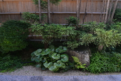 都会のオアシス　➂。。。！