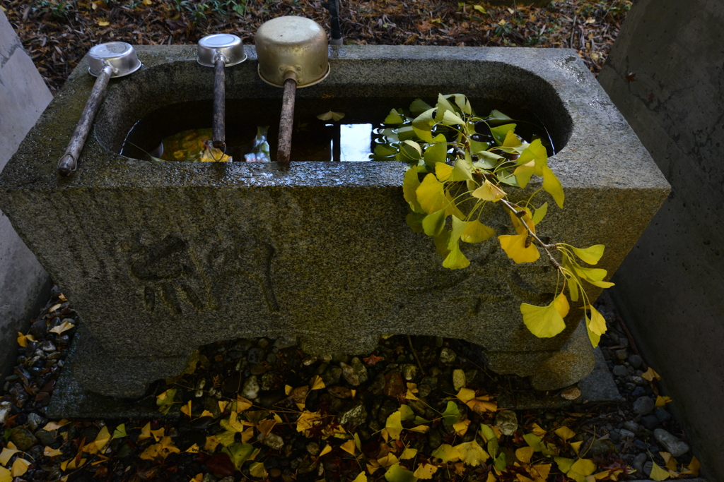 神社の秋　①。。。！