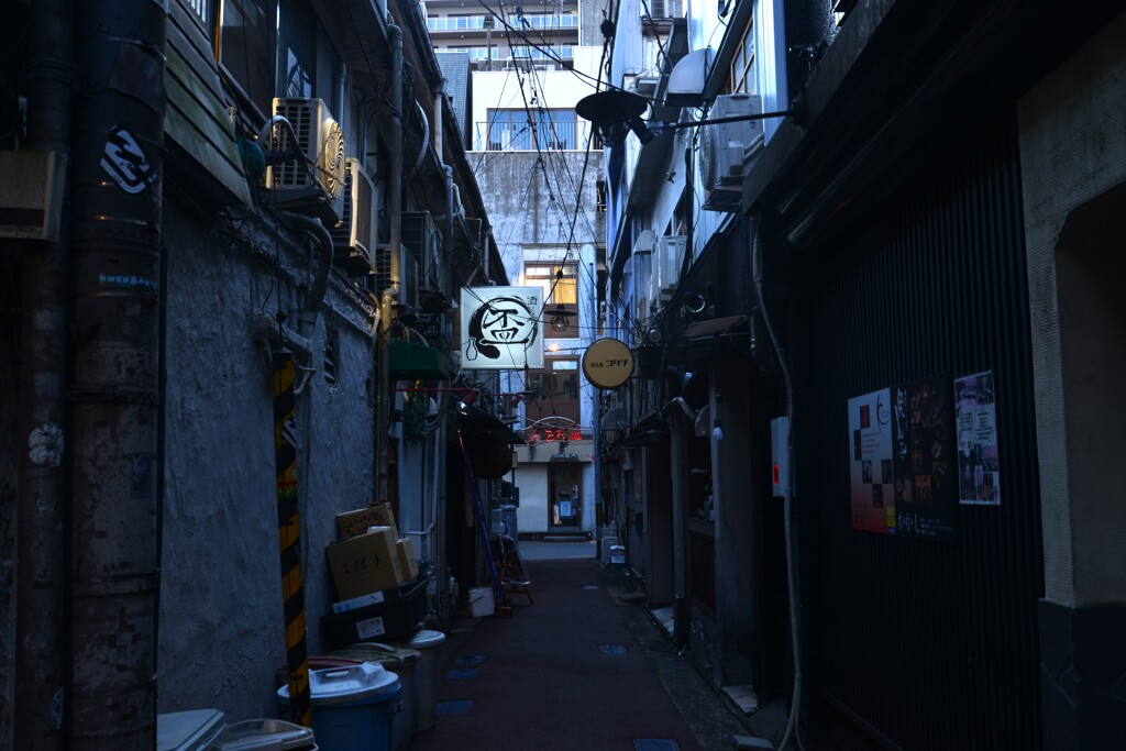 土佐の路地裏　➂。。。！