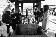 初詣．．人々の願い　④。。。！