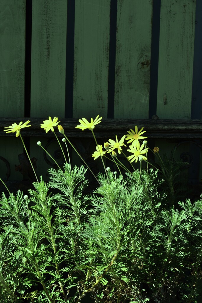 秋色の言葉　①。。。！