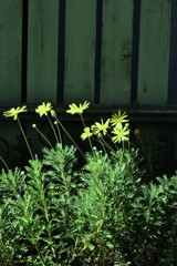 秋色の言葉　①。。。！