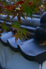 古刹①　久妙寺　④。。。！
