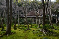 冬の静寂　②。。。！