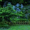 黄色いリボンの咲く公園　②。。。！