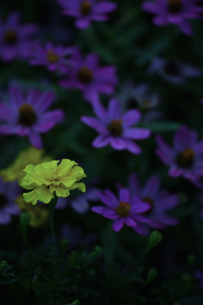 私の主張　②。。。！