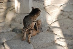 誰か呼んだか。。。？
