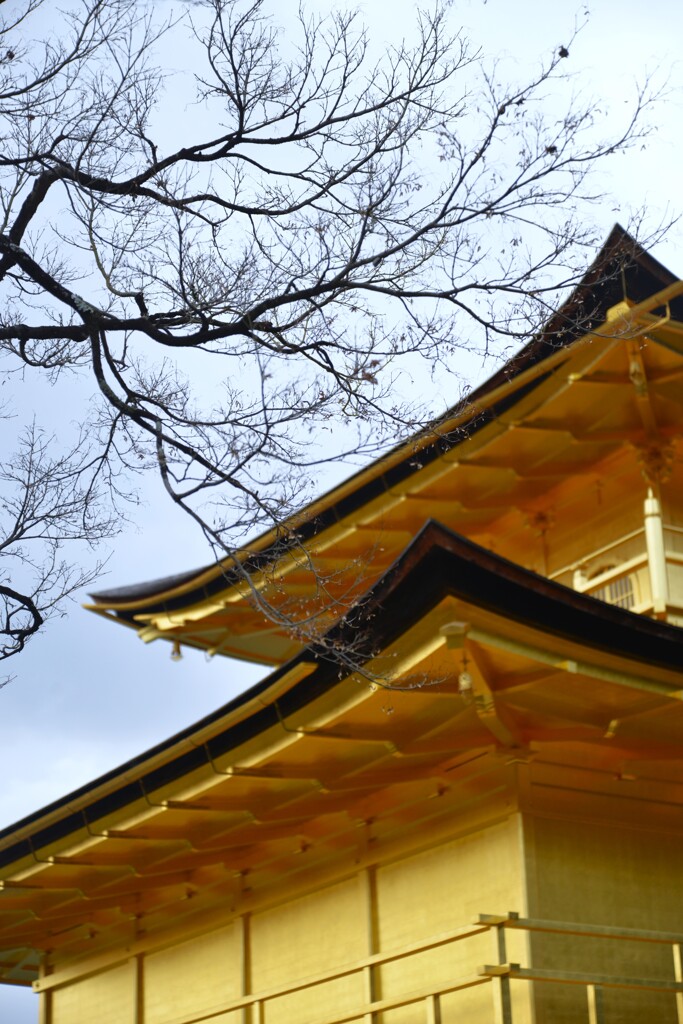 荘厳な栄華　➂。。。！