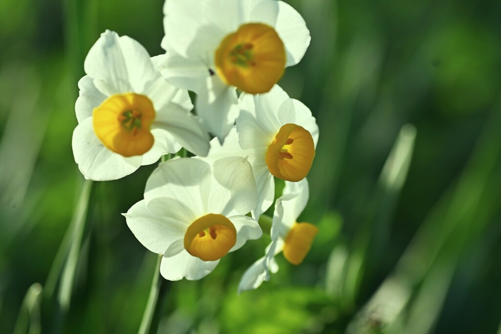 冬の光の中で　➂。。。！