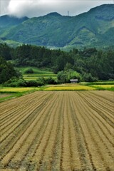 久万高原町．．収穫の後。。。！