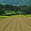 久万高原町．．収穫の後。。。！