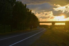 洛陽の河川敷　④。。。！