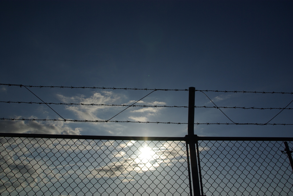 Iフェンス沿いの海岸通り。。。！