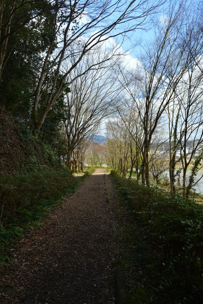 春せせらぎの小径　➂。。。！