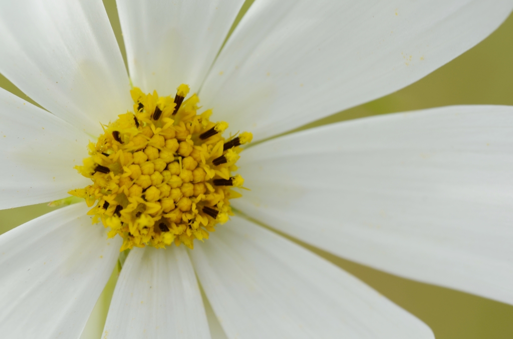 秋の宅配便　④　。。。！