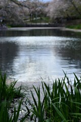 哀しみの湖面　①。。。！