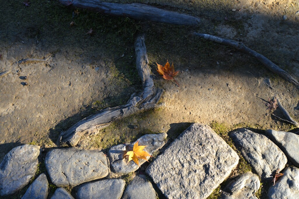 大洲臥龍山荘の秋　④。。。！