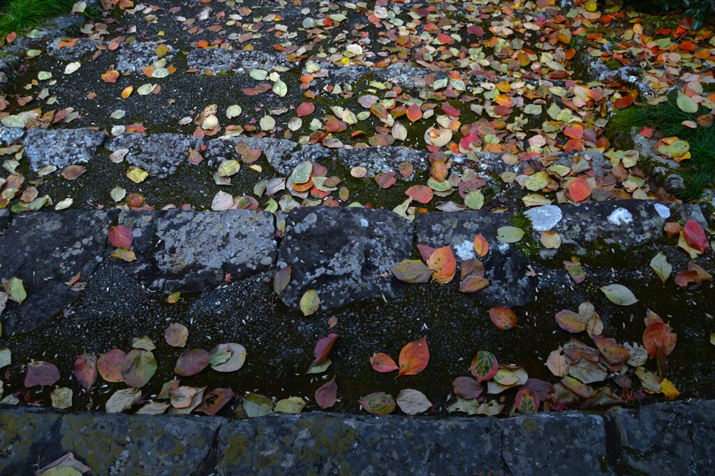 時の過ぎゆく　②。。。！