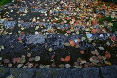 時の過ぎゆく　②。。。！