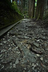 神秘な佛通の山。。。！