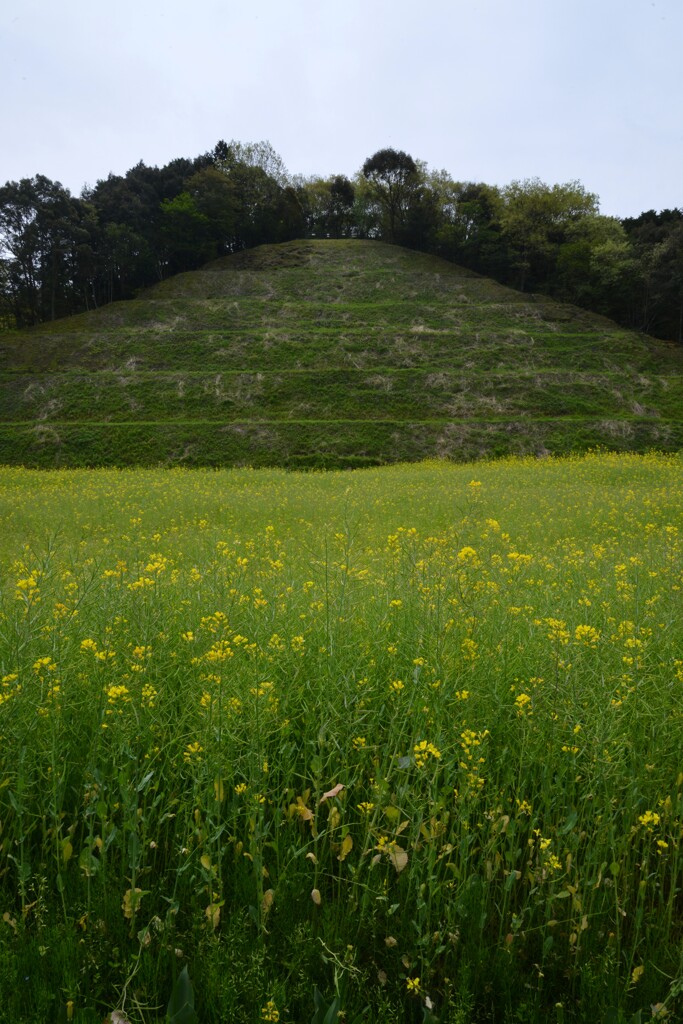 春の讃歌　①。。。！