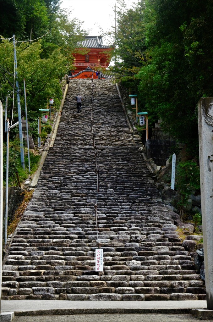 温泉駅前を歩く　➁。。。！