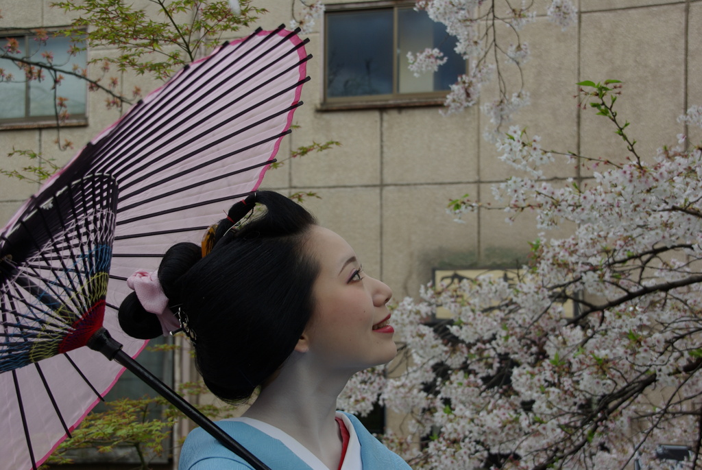 京都美人百花。。。！