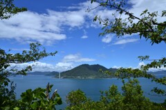 爽やかに夏風がわたる丘　。。。！