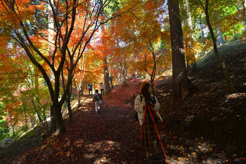秋を恋する気持ち　。。。！
