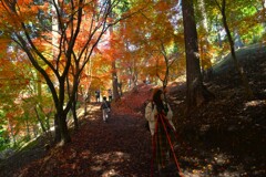 秋を恋する気持ち　。。。！