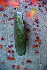 儚さがこみあげる　①。。。！