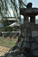 田園さんぽ．．刈入も終わって　➁。。。！