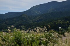 秋風の山里　②。。。！