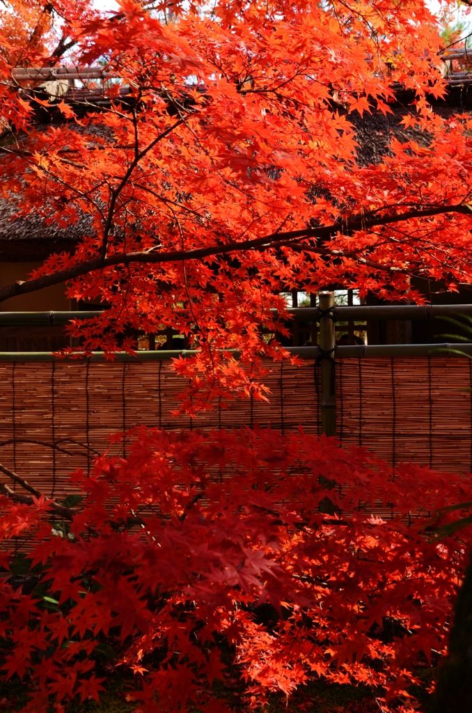 燃える残像。。。！