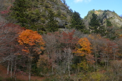高原の深秋　➂。。。！