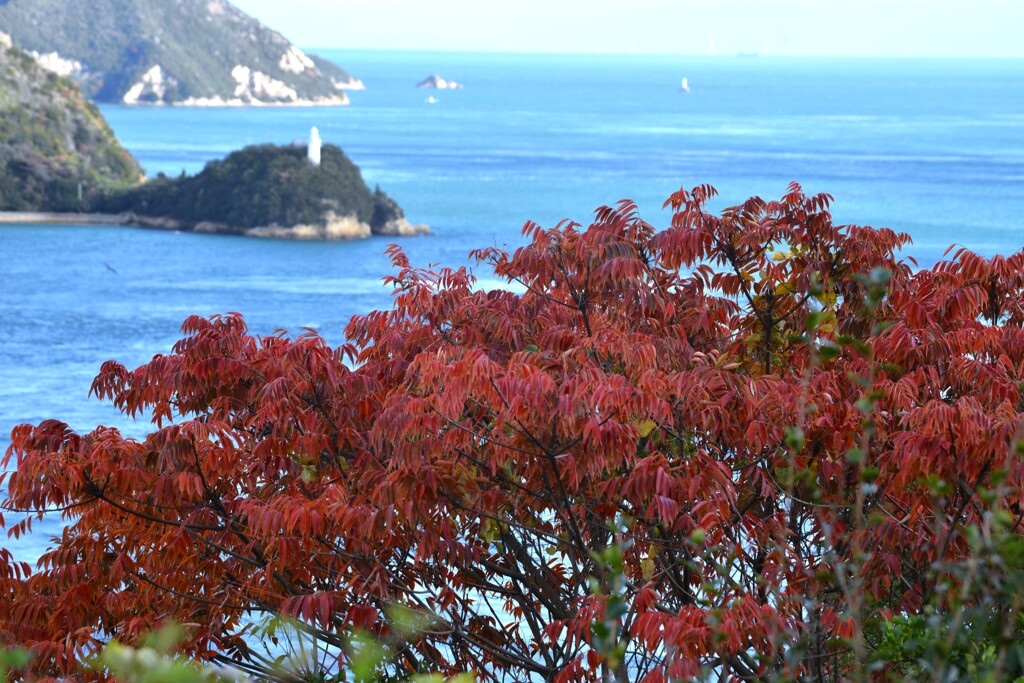 しまなみの秋　②。。。！