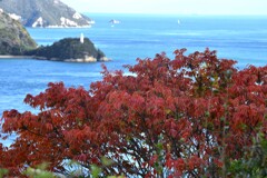 しまなみの秋　②。。。！