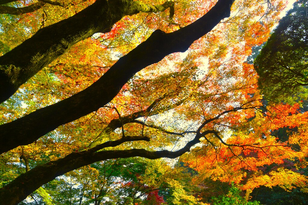 西山興隆寺　④。。。！