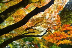 西山興隆寺　④。。。！