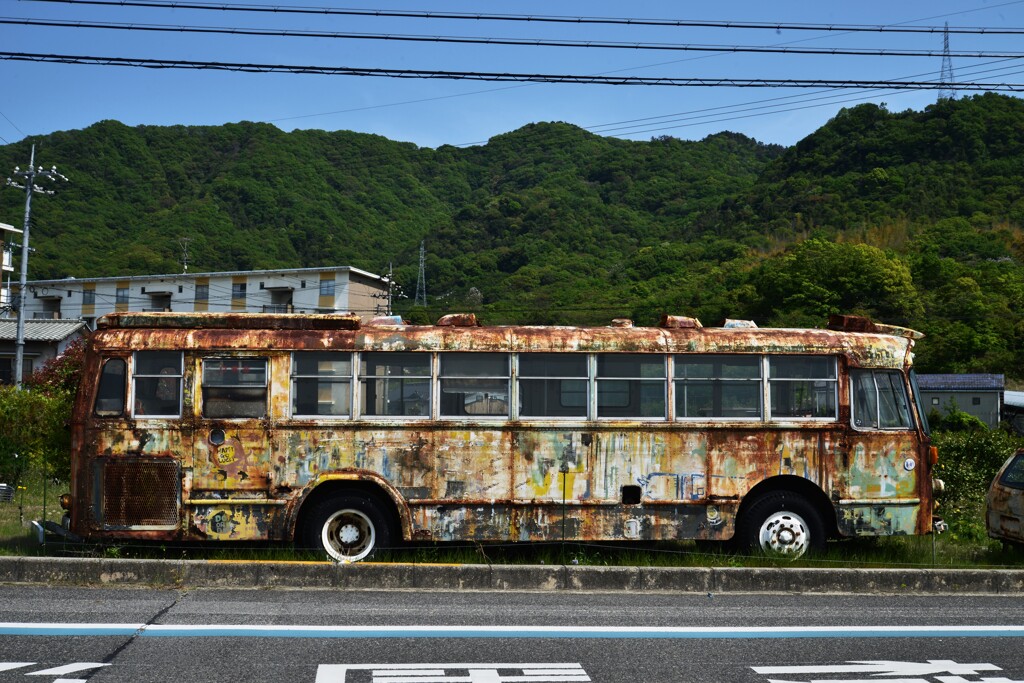 朽ちてなお立ち尽くす。。。！