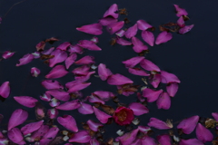 悲しみの果てに。。。！